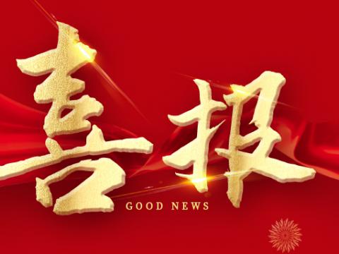 pp电子电气荣膺江苏省制造业领航企业